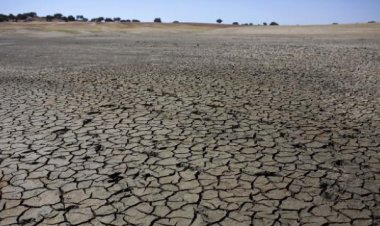 İngiltere'de kuraklık ilan edildi