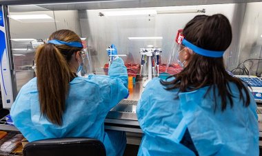 Hollanda'da maymun çiçeği virüsü vaka sayısı bini aştı