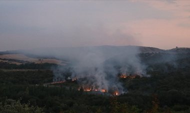 Bulgaristan'da askerler patlayıcı madde imha ederken orman yangını çıktı