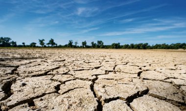 Galler'in büyük kısmında kuraklık ilan edildi