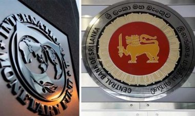 IMF heyeti, ekonomik krizle boğuşan Sri Lanka'ya gidecek