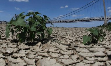 Fransa'da yaşanan kuraklıktan milyonlarca ev zarar gördü