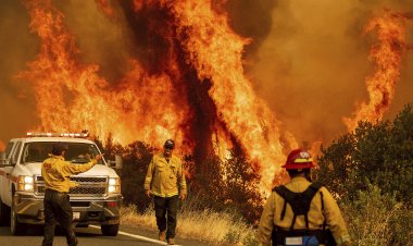 Kaliforniya’da orman yangınları sürüyor