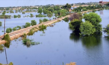 BM Genel Sekreteri: Pakistan, iklim değişikliğinden en çok etkilenen ülkelerden biri
