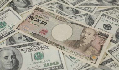 Japonya 24 yıl sonra ilk kez dövize müdahale etti