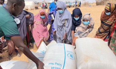 Ukrayna, Etiyopya ve Somali'ye 50 bin ton buğday gönderiyor