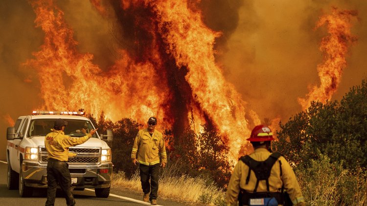 Kaliforniya’da orman yangınları sürüyor