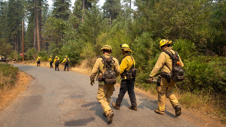 California'da orman yangını: 11 binden fazla kişi tahliye edildi