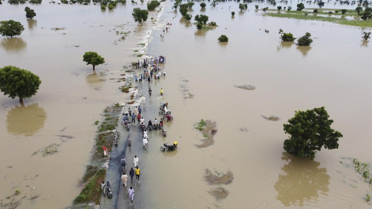 Nijerya'daki sellerden 1,41 milyondan fazla kişi etkilendi