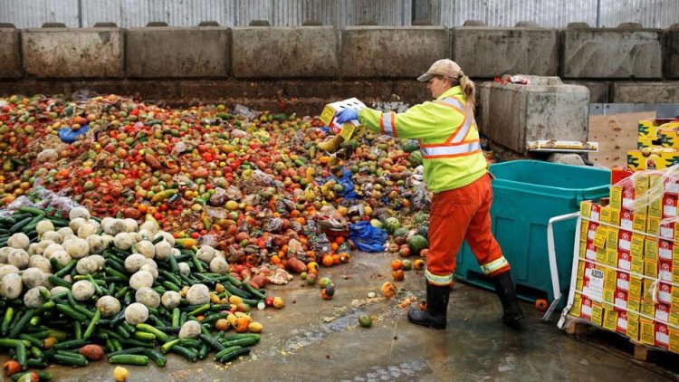 AB gıdayı israf ediyor: Her yıl üretilen gıdanın 5'te biri çöpte