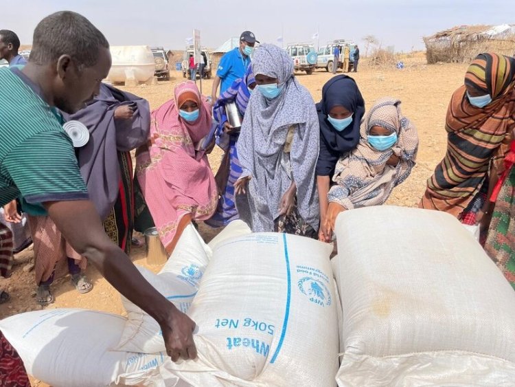 Ukrayna'dan gıda kriziyle mücadele eden Somali'ye 25 bin ton buğday desteği