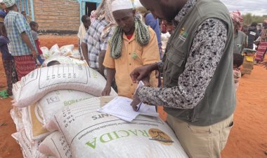 Kenya'da kuraklığın pençesindeki 'Mandera'da 500 bin kişi acil gıda yardımı bekliyor