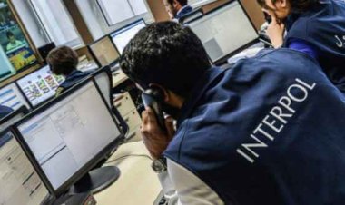 Interpol: Finansal ve siber suçlar dünyadaki "en büyük" tehdit