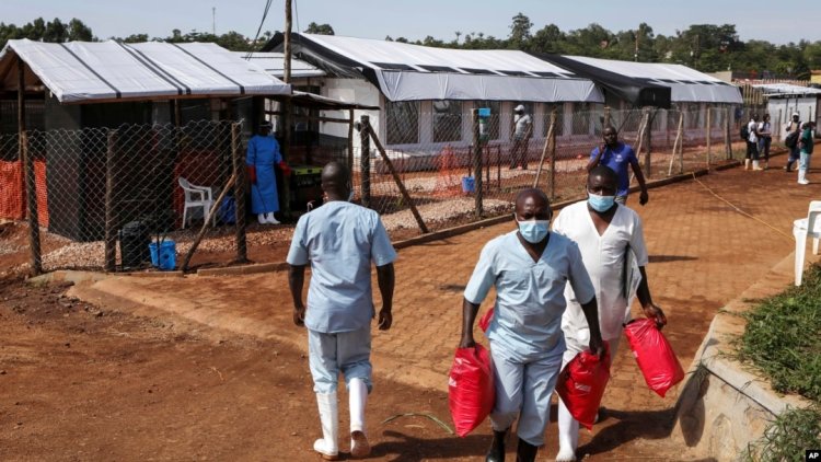 Afrika ülkeleri, Ebola salgını nedeniyle acil toplanıyor