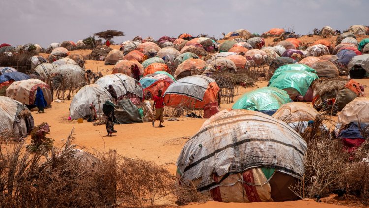 Somali'de kuraklık, 7,8 milyon kişiyi olumsuz etkiliyor