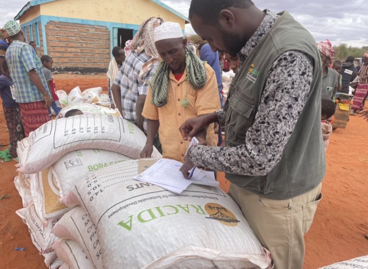 Kenya'da kuraklığın pençesindeki 'Mandera'da 500 bin kişi acil gıda yardımı bekliyor