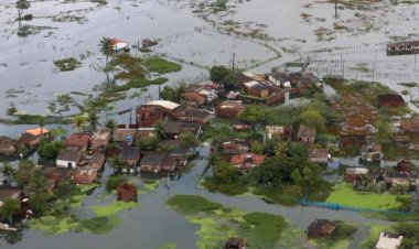 Brezilya’da şiddetli yağış: 5 kişi öldü, 8 binden fazla kişi yerinden oldu
