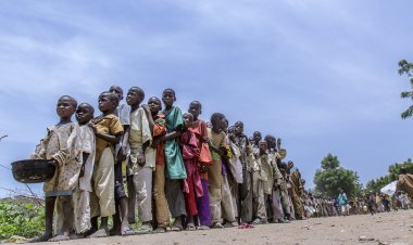 Nijerya'da dünyanın en büyük insani krizlerinden biri yaşanmaya devam ediyor