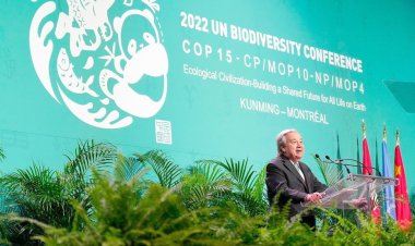 Guterres: İnsanlık, tükenmek bilmeyen hırsla büyük bir kitlesel yok oluş silahı haline geldi