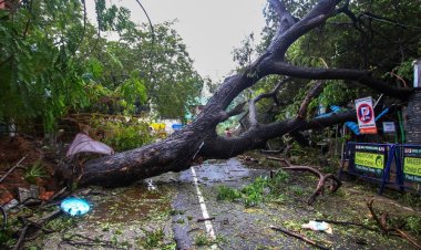 Hindistan'da Mandous Kasırgası: 5 ölü