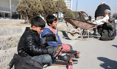 Küçük Afgan kardeşler 7 kişilik ailelerini geçindiriyor