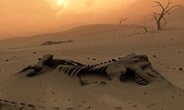 6'ncı büyük toplu yok oluş başladı