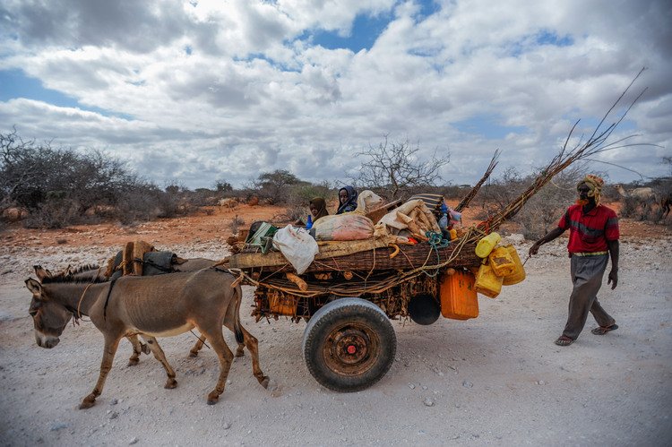 Kenya'da yerlerinden edilen 40 bin insana her gün yenileri ekleniyor