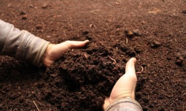 Cesetlerin gübreye dönüştürülmesine onay verdiler!