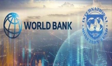 IMF: ABD tarifeleri küresel piyasalarda dalgalanmayı artırdı