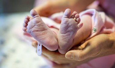 Fransa yaşlanıyor: Yenidoğan sayısı 1945'ten beri en düşük seviyede