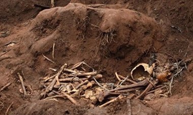 Kongo Demokratik Cumhuriyeti'nde toplu mezarlar bulundu