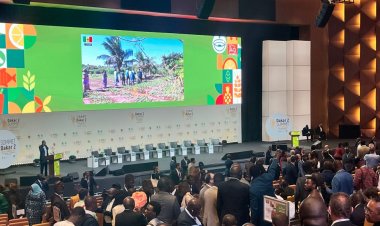 "Afrika'nın Afrika'yı besleme zamanı geldi"