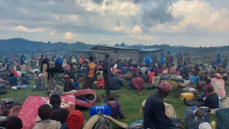 Kongo'daki çatışmalar: 2 bin 61 mülteci Ruanda'ya sığındı