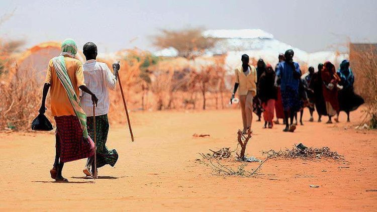 Etiyopya da kuraklık: Şiddetli gıda krizi kapıda