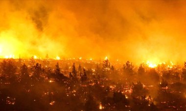 Şili'de orman yangınları: 13 kişi hayatını kaybetti