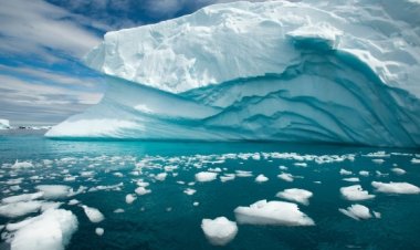 Antarktika'daki deniz buzu 43 yılın en düşük seviyesine geriledi