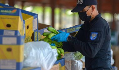 Muz sevkiyatından 330 milyon dolar değerinde kokain çıktı