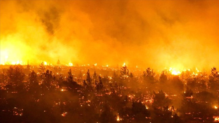 Şili'de orman yangınları: 13 kişi hayatını kaybetti