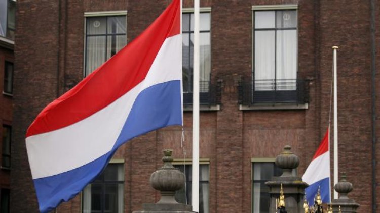 Hollanda'da eyalet seçimlerini kazanan Çiftçi Vatandaş Hareketi Partisi (BBB) ülke tarihine geçti