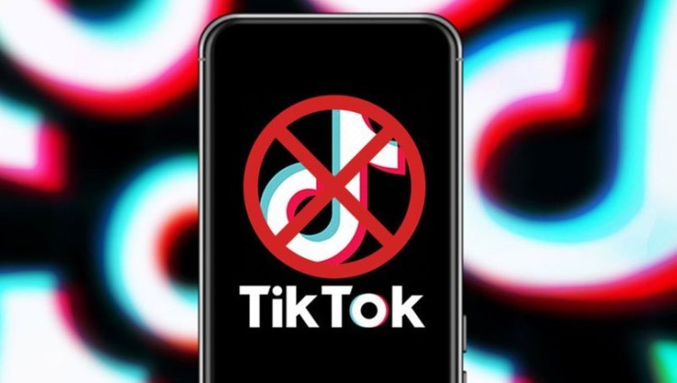 Belçika'da devlet çalışanlarının elektronik cihazlarında TikTok'a erişim engellendi