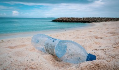 Okyanusların tamamında 171 trilyon plastik parçası olduğu tahmin ediliyor