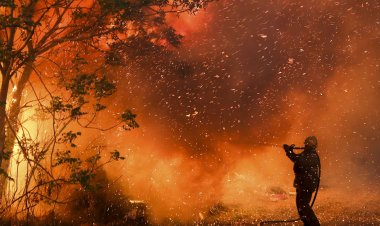 Arjantin'de orman yangınlarında 3 bin hektarlık alan kül oldu