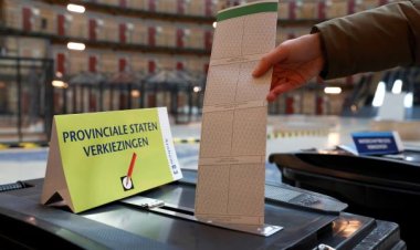 Hollanda'da eyalet seçimlerinde en çok oyu yeni kurulan Çiftçi Vatandaş Hareketi Partisi aldı