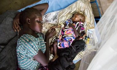 Nijerya'da menenjit salgınında hayatını kaybedenlerin sayısı 124'e çıktı