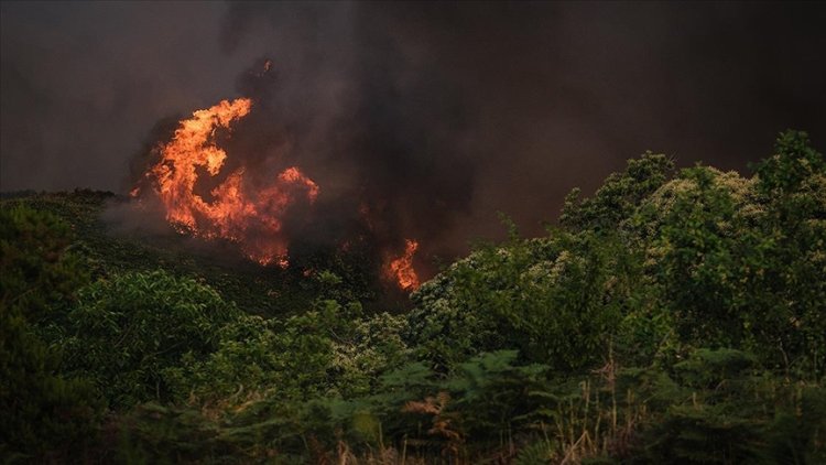 İspanya'daki orman yangını 5. gününde devam ediyor