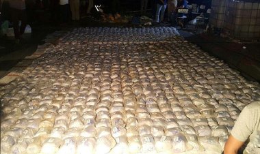 Kolombiya'da 5,5 ton kokain ele geçirildi