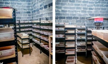 Polonya’da 5,8 ton uyuşturucu ele geçirildi: 13 gözaltı