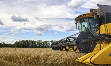 Katar: Türkiye ve BM'nin tahıl anlaşmasındaki çabalarını takdir ediyoruz