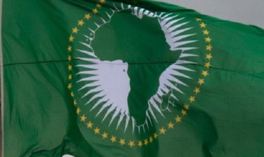 Afrika Birliği'nden Gabon'daki darbeye kınama