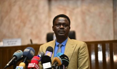 Sudan’daki Darfur Bölgesi Başkanı Minawi'den halka silahlanma çağrısı